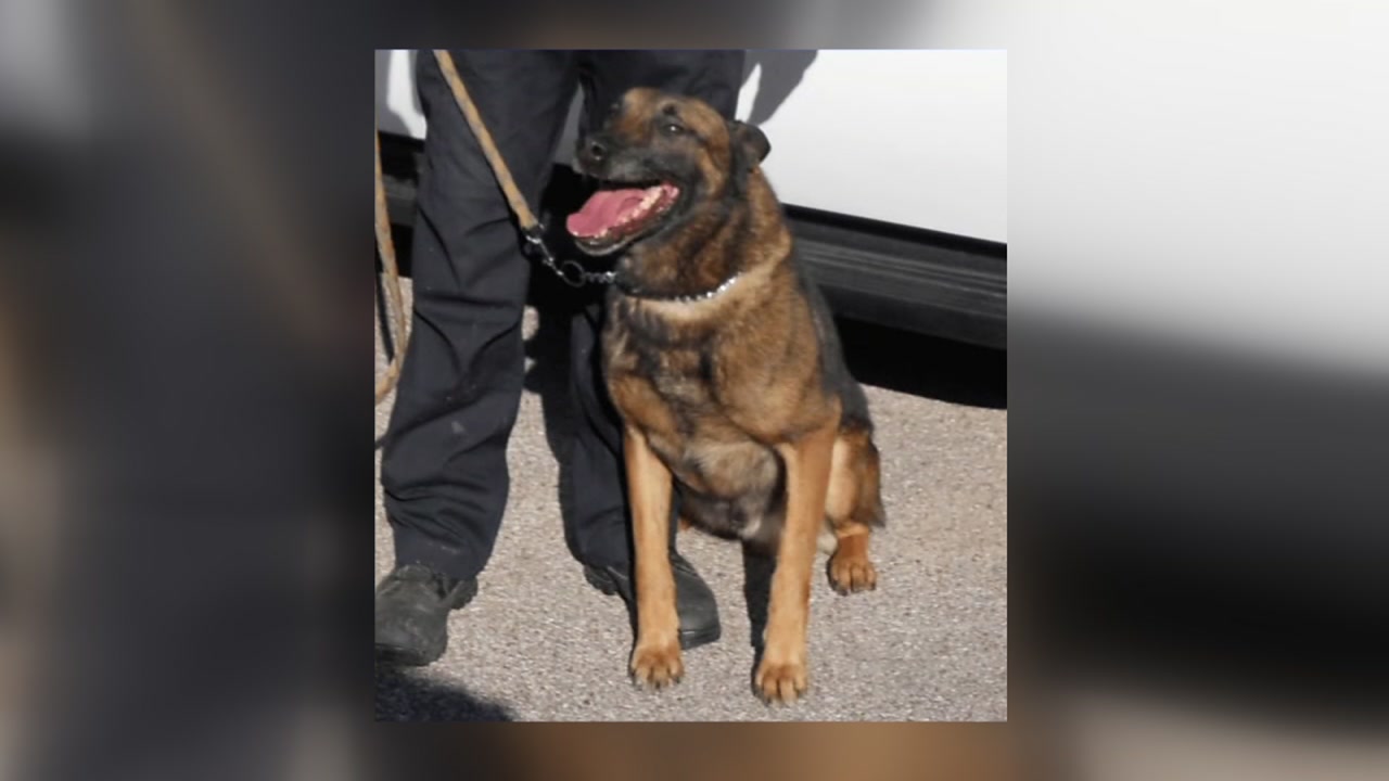 Houston police K-9 shot in north Harris County